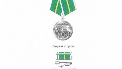 Фото - Путин учредил новые медали. Показываем, как они выглядят