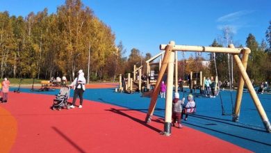 Фото - В парке «Липовая роща» в Электроуглях завершилось обустройство игровой зоны для детей